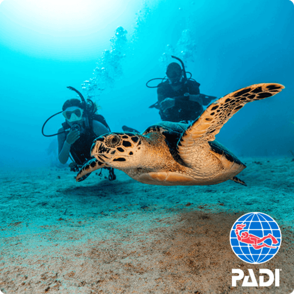 e-Learning of PADI Advanced Open Water Diver Course - Image 3