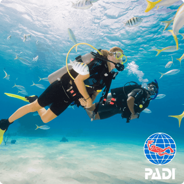PADI Open Water Diver Course in Koh Phi Phi