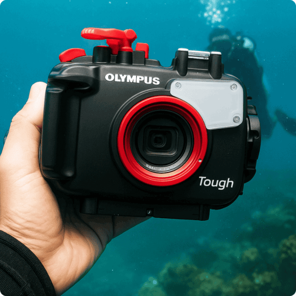 rental camera olympus