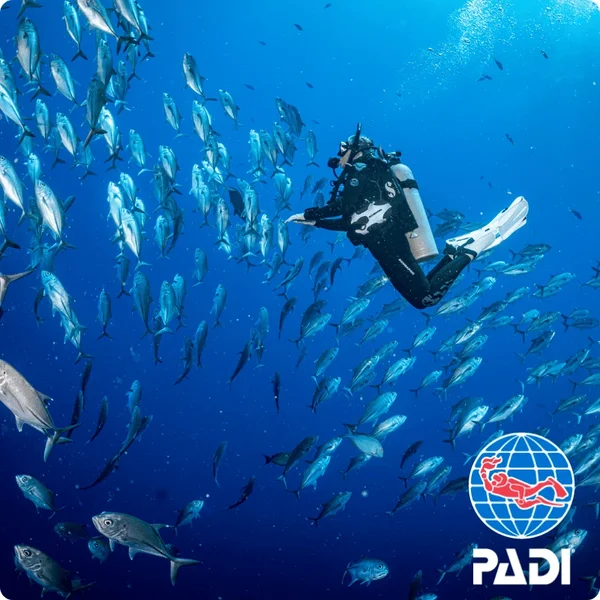 PADI Advanced Open Water Diver Course(AOW) in Koh Phi Phi