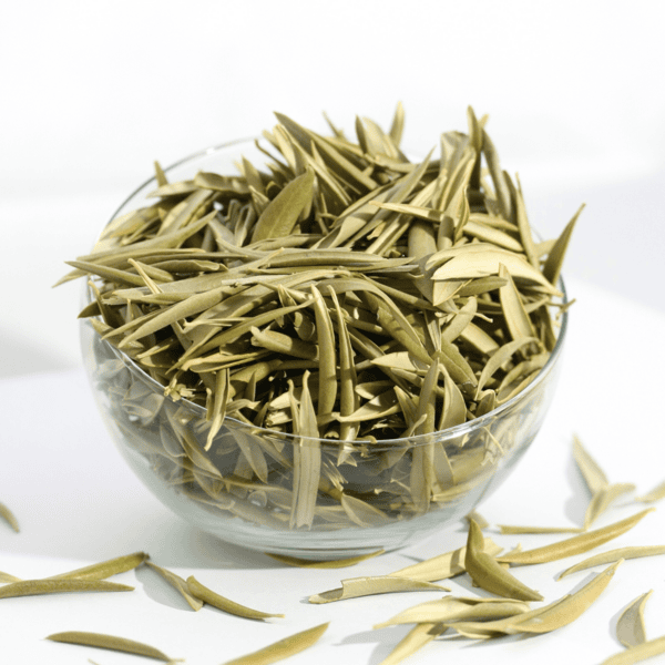 OLIVO hoja ecológica