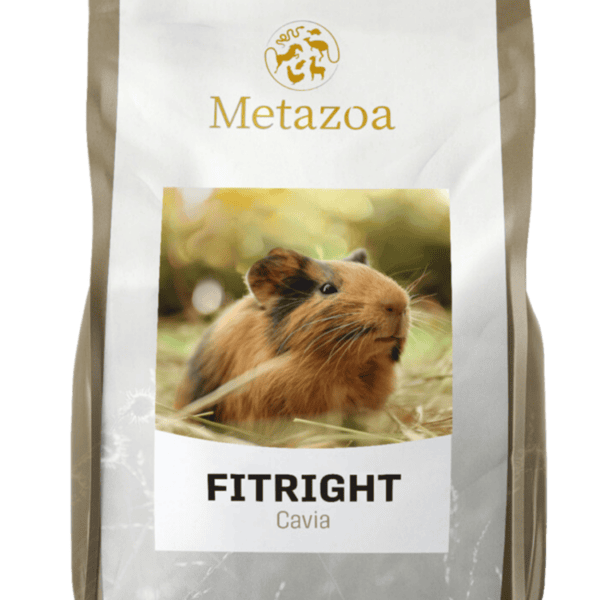 Fitright Cochon d'Inde