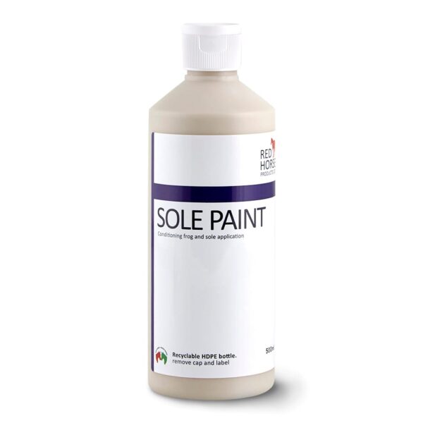 Peinture pour semelles 500ml