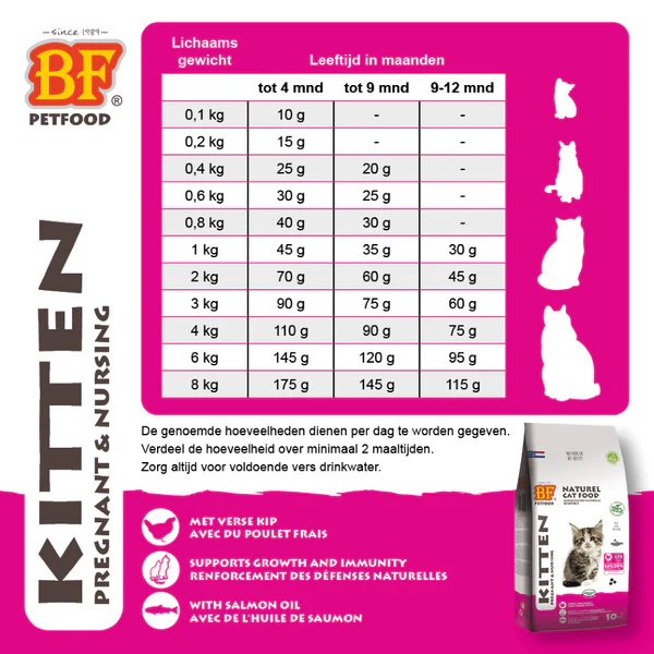 BF Petfood Chatons – Image 2