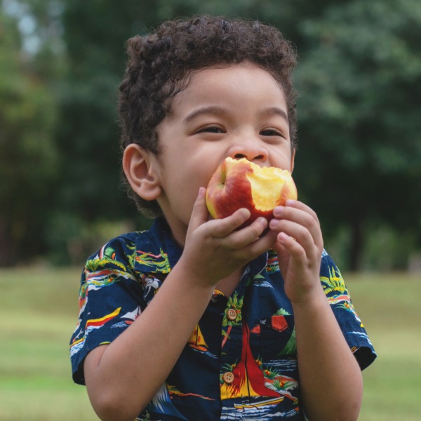 Summer Meals