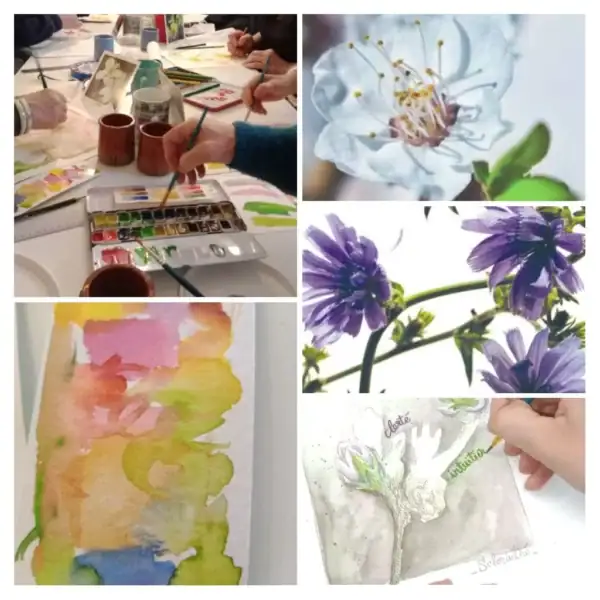 Atelier peindre sa fleur de Bach - Art-thérapie naturelle à Mouans-Sartoux