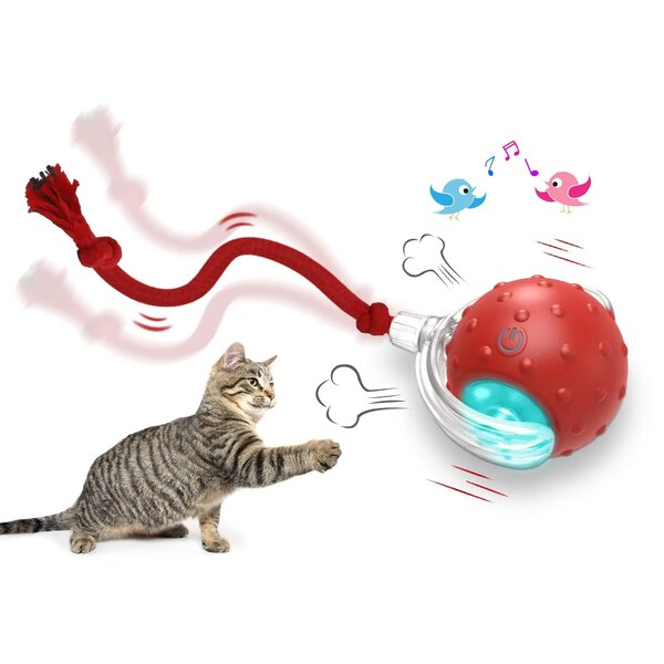 Chase & Play Interactive Pet Toy - Image 2