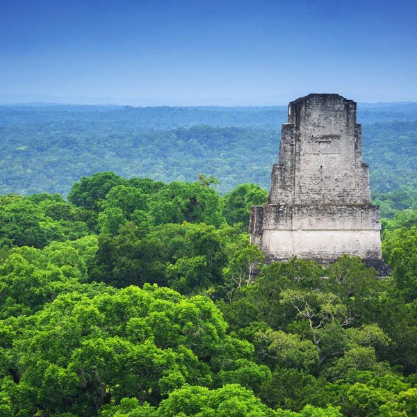 Breathtaking Tikal Temple