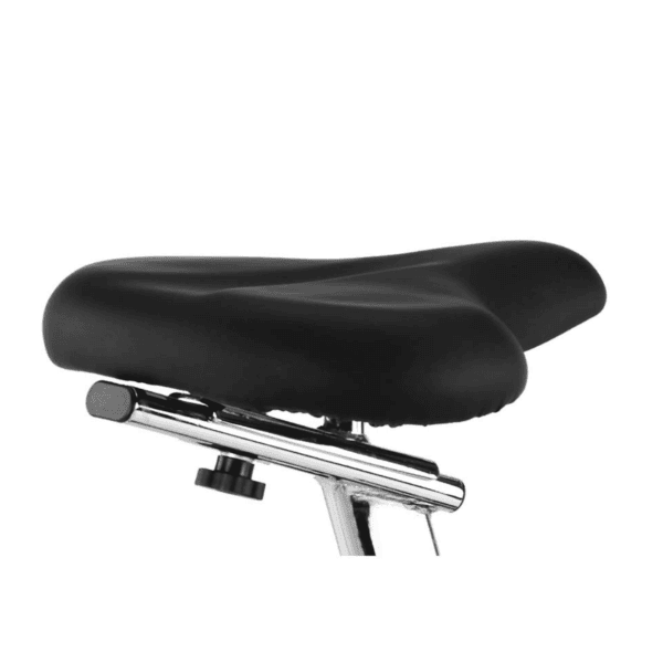 BH Fitness Artic Bike