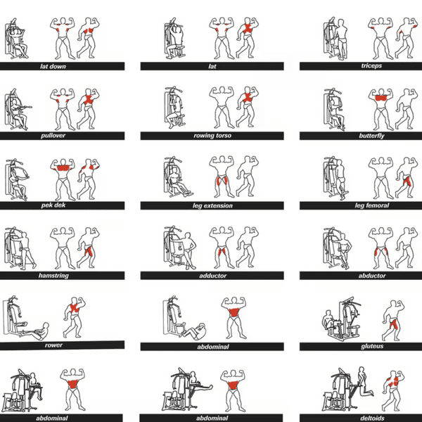 Bh Fitness Global Gym with Seated Leg Press - Image 5