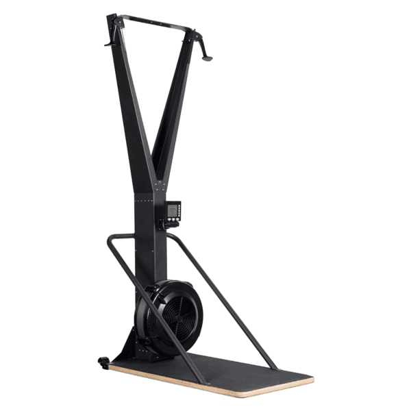 Air Ski Erg With Stand