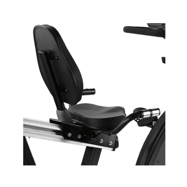 BH Ergo Recumbent Bike - Image 2