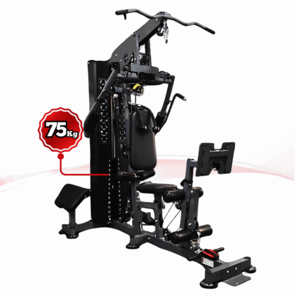 Multi Gym