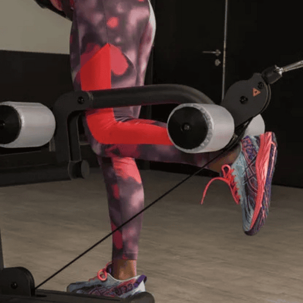 BH Fitness Indar Multi Gym - Image 3