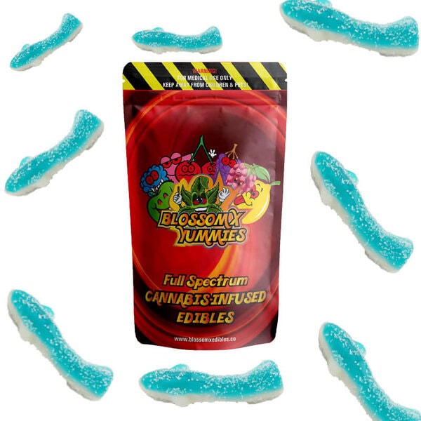 BlossomX - Blue Shark Gummies - Sour- 200mg CBD (10 x 20mg)