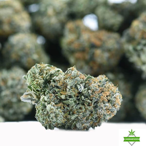 Island Rockstar by King Craft indica-dominant cannabis flower with dense, hand-trimmed buds
