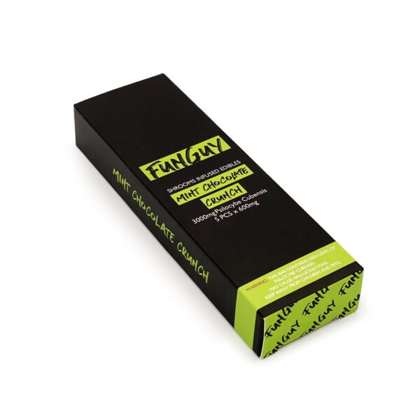 FunGuy-Mint Chocolate Crunch Bar