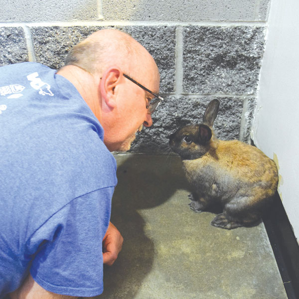 Former Raley's xecutive Nereo Rebellato with rabbit