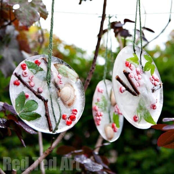 ornaments made with ice and nature elements hanging from a tree outdoors