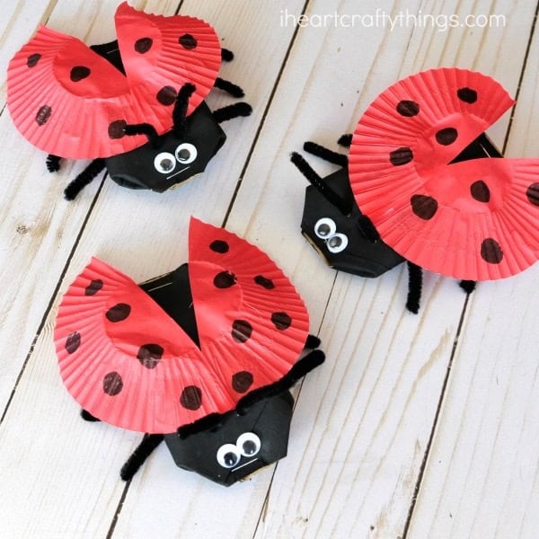 cardboard tube ladybug