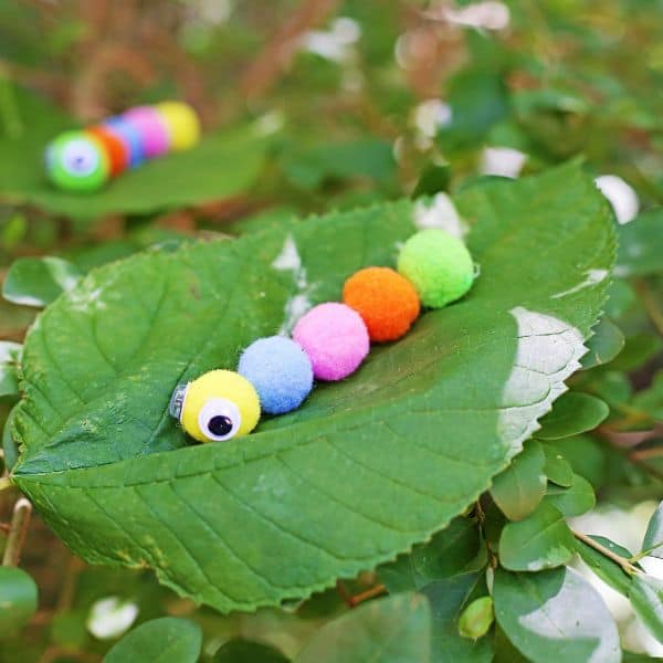 pom pom caterpillar craft