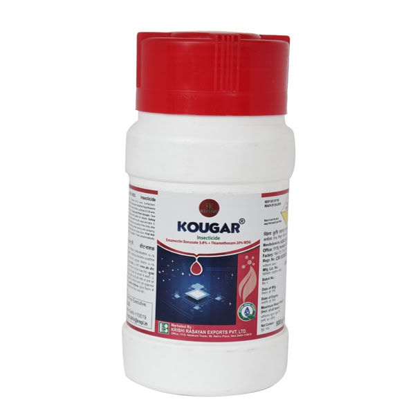 Kougar 600x600