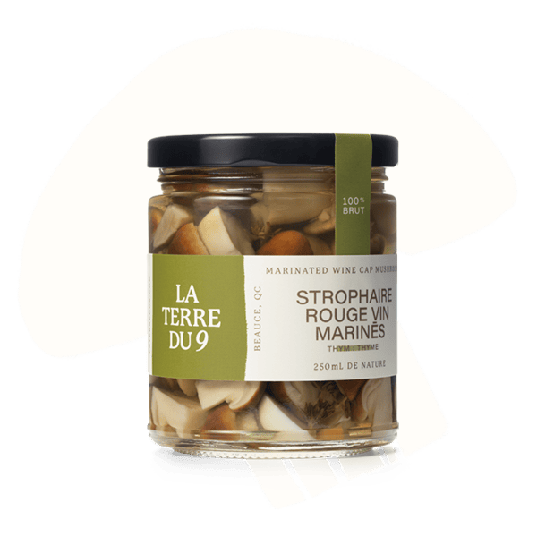 La terre du 9_Produit logo_Champignons_Strophaire_Rouge_Vin_Marines_Thym_250ml