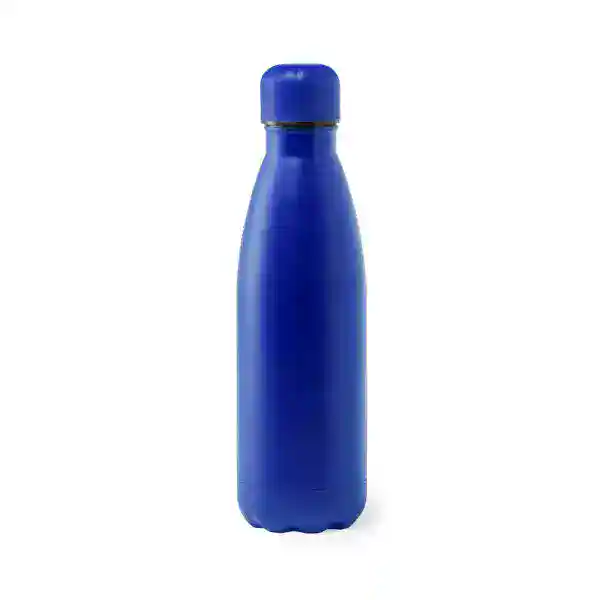 Waterfles in blauw, herbruikbare en duurzame drinkfles voor dagelijks gebruik.