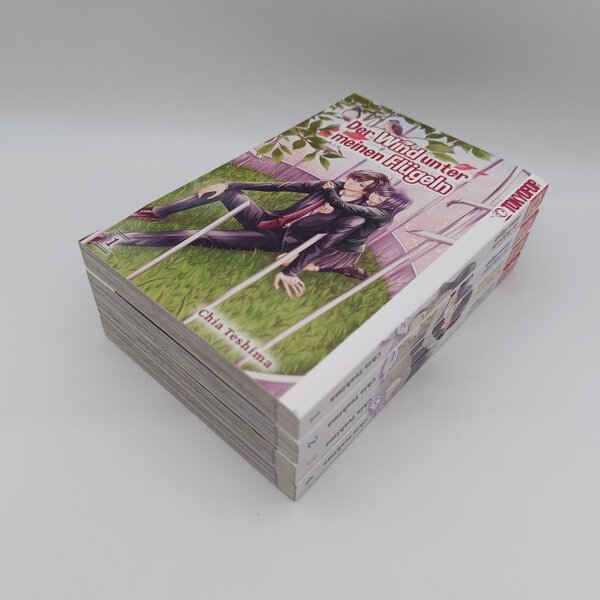 Der Wind unter meinen Flügeln Band 1-4 komplett (Chia Teshima)