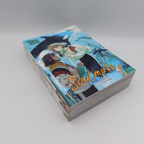 Soulmate Band 1-3 komplett (Wenzhi Lizi | Ke Ran Bing)