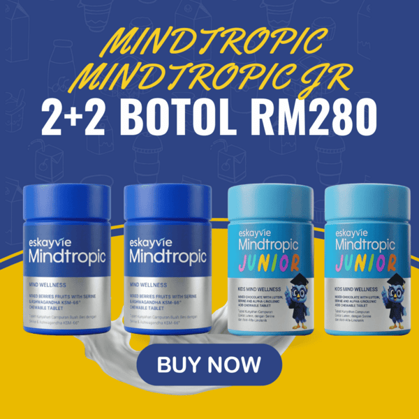 2 Mindtropic dan 2 Mindtropic JR