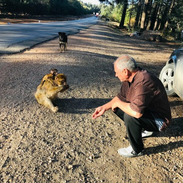 3-Day Desert Tour From Marrakech to Fes via Merzouga