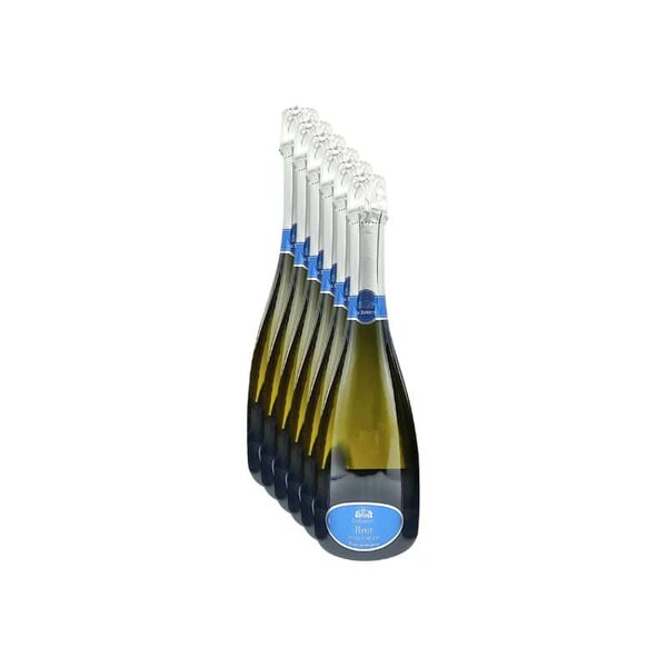 Spumante Brut Millesimato Ca' Ernesto 6 Bottiglie