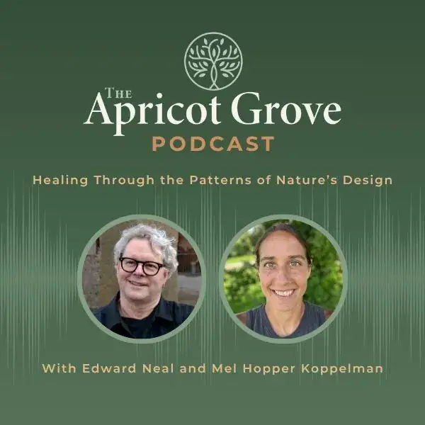 The Apricot Grove podcast | Neijing Nature-Based Medicine with Dr. Edward Neal