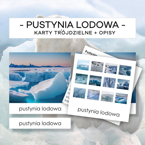 Biomy - pustynia lodowa - karty trójdzielne 28 szt. + opisy