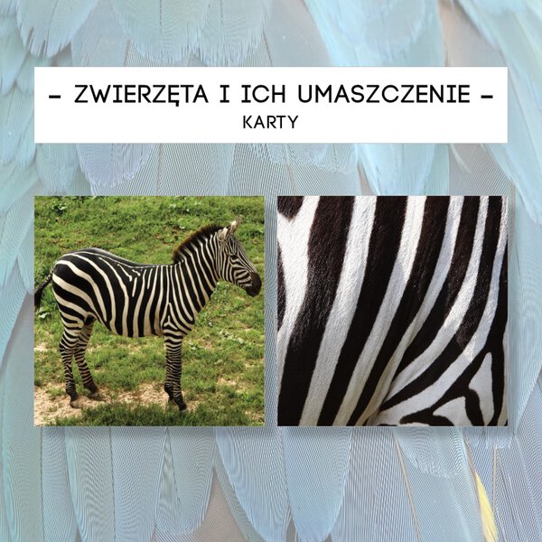 Zwierzęta i ich umaszczenie - karty 25 szt.