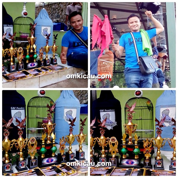 Lovebird Bayi Tabung