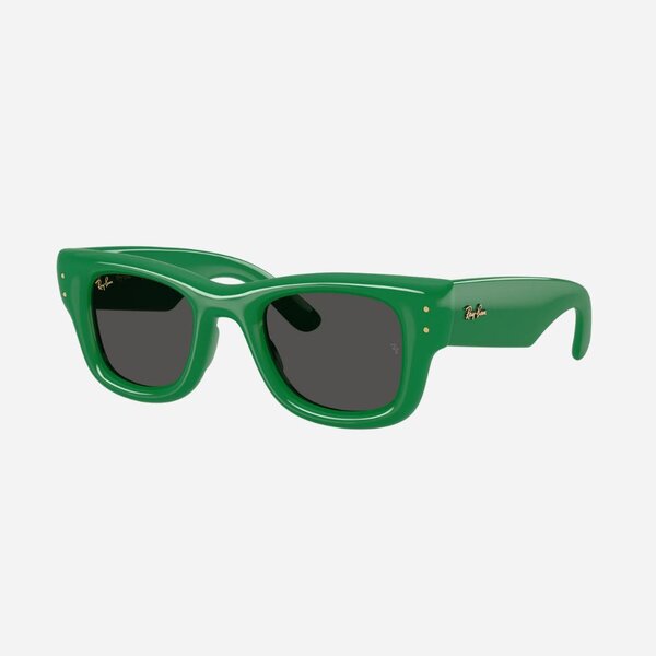 oculos-de-sol-rayban-wayfarer-puffer-verde-lateral