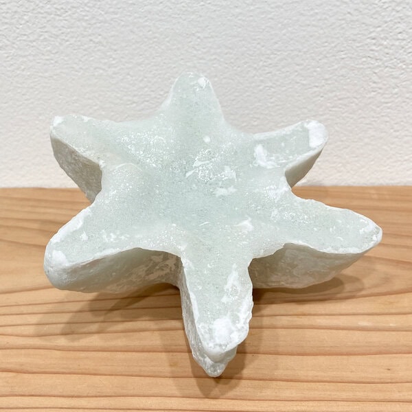 Small seedling-V - 画像 (4)