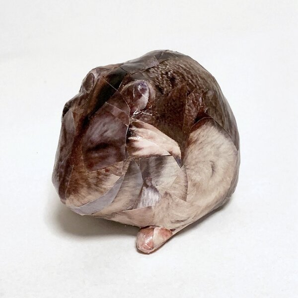 まだ何も分からない お子さんハム