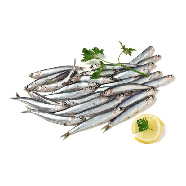 Alici Fresche Mediterraneo