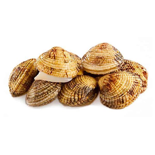 Noci/Tartufi di mare
