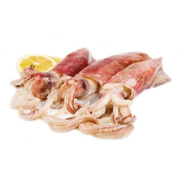 Totanetti Mediterraneo