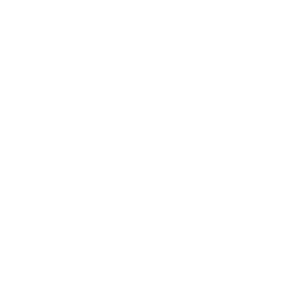 wordpress logo