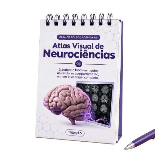 Atlas Visual de Neurociências — Estrutura e Funcionamento — imagem 1 de 4