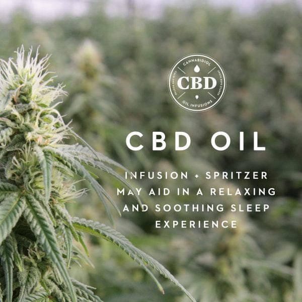 Malouf Zoned ActiveDough CBD Memory Foam Pillow - Image 4