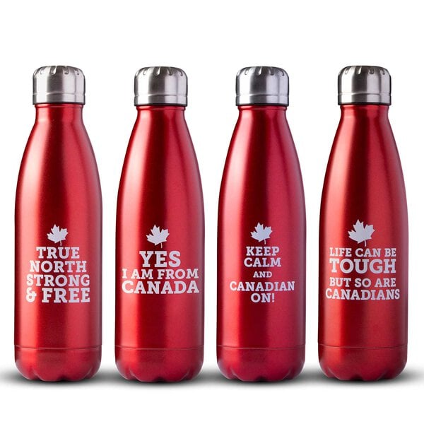 Stainless Steel Bottles Bundle
