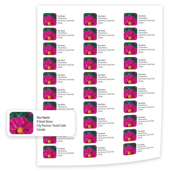 Personalized Spring Peony Mailing Labels - Image 2