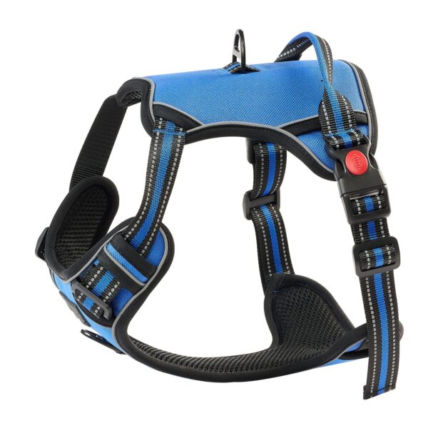 002c0cb1e91b470a9e37fe09c0983e2f comfortable dog harness for long walks and daily use