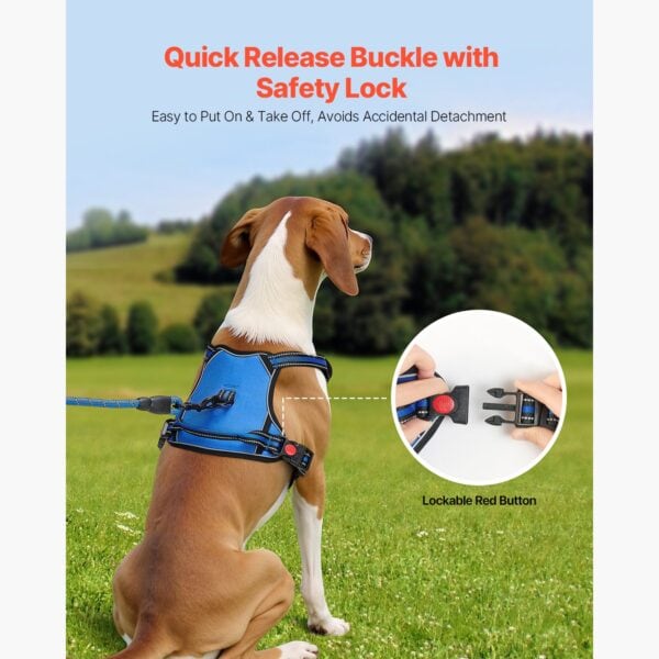 024152bbc2560826867b06917bbed7b2 dog harness with secure buckle system for safe outdoor use